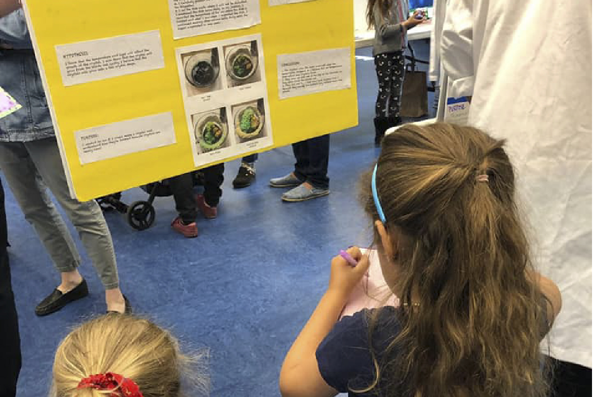 Science Fair pre-pan